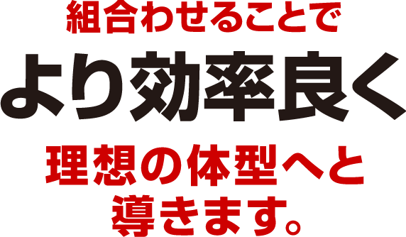 組み合わせることでより効率よく理想の体型へと導きます。