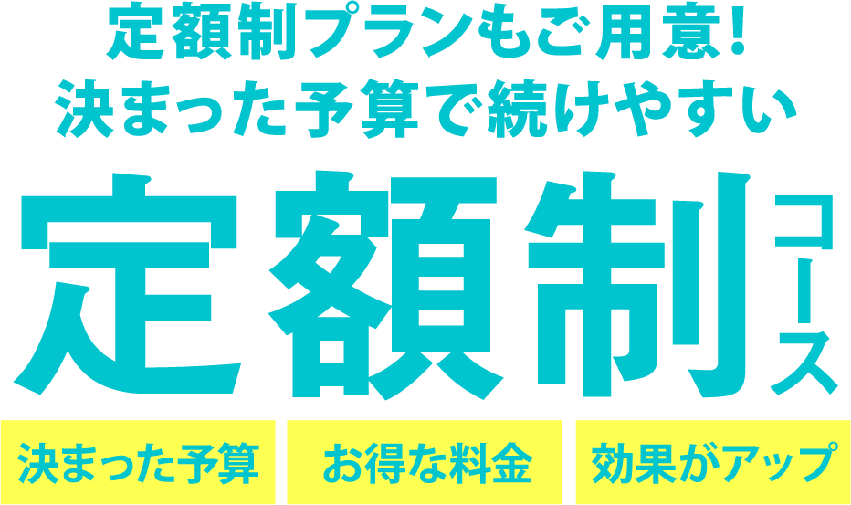 定額制コース